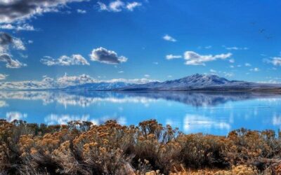 Salt Lake City Guided Bus Tour (2026 Review & Booking Guide)