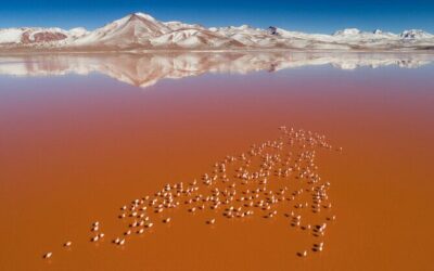 Best Tours & Experiences in Uyuni