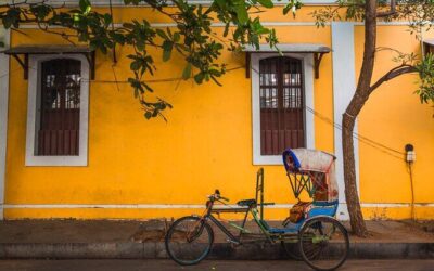 Best Tours & Experiences in Pondicherry