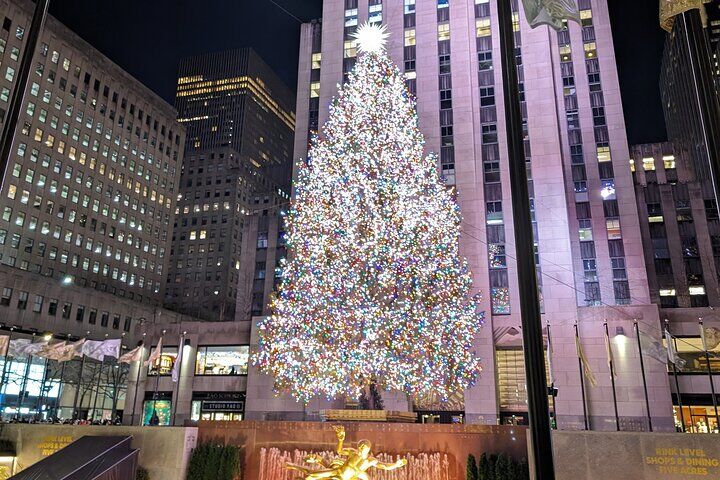 Private vs Small Group Tours in New York City: Which Should You Book? (2026) 12 New York City Holiday Lights Tour
