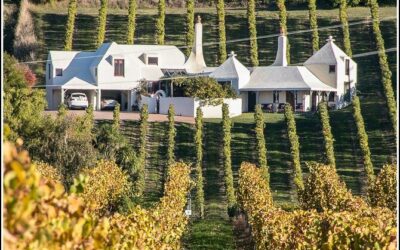 Best Tours & Experiences in Napier