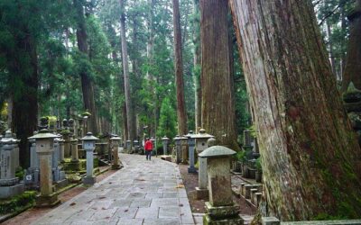 Best Tours & Experiences in Koyasan