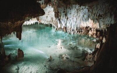 Stingray City Experience Plus Two Snorkeling Stops on Grand Cayman (2026 Review & Booking Guide)