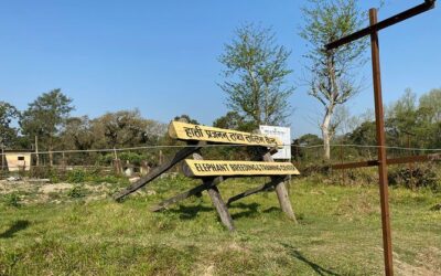 Best Tours & Experiences in Chitwan