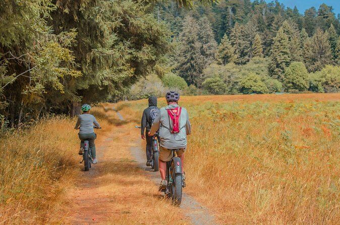 Hour Redwood National and State Park E Bike Adventure - Redwood National Park