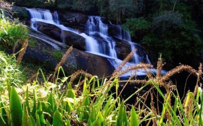 Paraty Itinerary: The Perfect 3 Days