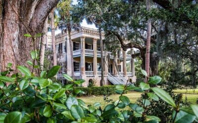 2-Hour Hilton Head Guided Kayak Nature Tour (2026 Review & Booking Guide)