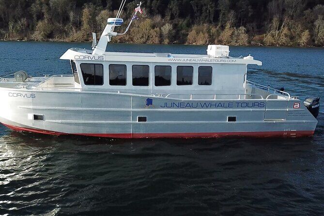 Best Tours & Experiences in Juneau Alaska 6 Whale Tours in Juneau Alaska