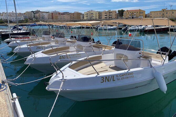 Best Tours & Experiences in Vieste Gargano Italy 18 4 Hours Private Guided Boat Tour in Vieste
