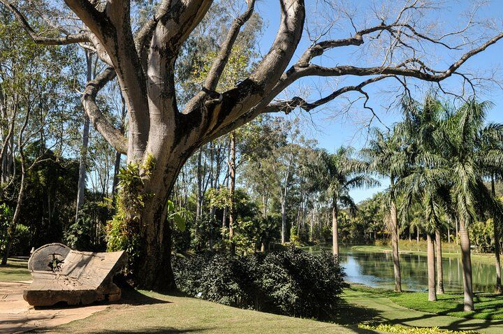 Best Things To Do in Belo Horizonte: Pampulha Modernist Architecture Tours & Mercado Central Food and Cachaça Tours 7 Inhotim - one of the largest open air museums in the World