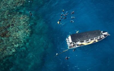 Best Tours & Experiences in Cairns