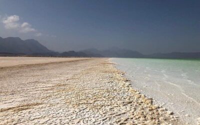 Best Tours & Experiences in Djibouti