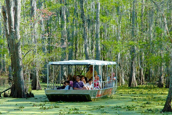 Best Tours & Experiences in New Orleans Swamp Tour 9 Honey Island Swamp Tour with Transport - New Orleans Swamp Tour