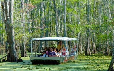 MSY airport to New Orleans City Center: Transfer Options (2026)