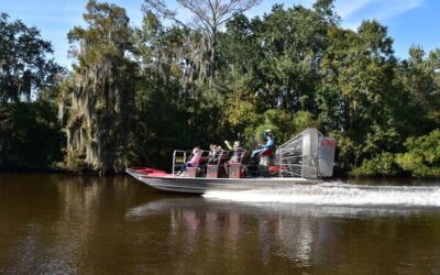 New Orleans City Tour: French Quarter, Garden District & Cemetery (2026 Review & Booking Guide)