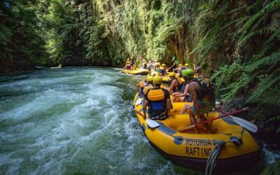 Best Things to Do in Rotorua (2026): Top-Rated Tours & Experiences