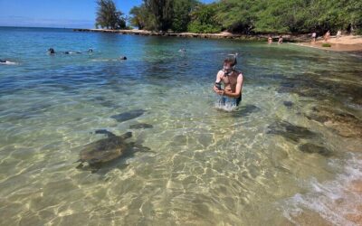 Private vs Small Group Tours in Honolulu: Which Should You Book? (2026)
