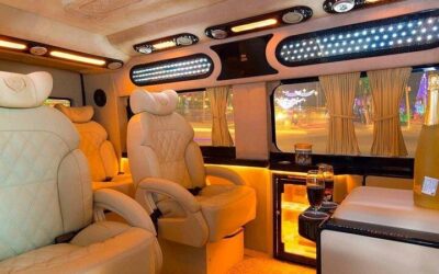 Cu Chi Tunnels and Mekong Delta VIP Tour by Limousine (2026 Review & Booking Guide)