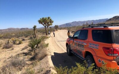 Palm Springs Aerial Tramway Admission Ticket (2026 Review & Booking Guide)