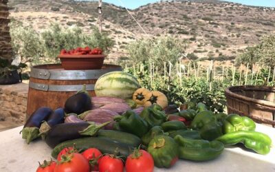 Naxos Highlights Bus Tour with Free Time for Lunch at Apeiranthos (2026 Review & Booking Guide)
