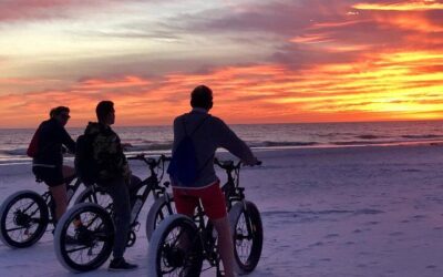 Sarasota Itinerary: The Perfect 3 Days