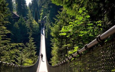 Best Tours & Experiences in Vancouver