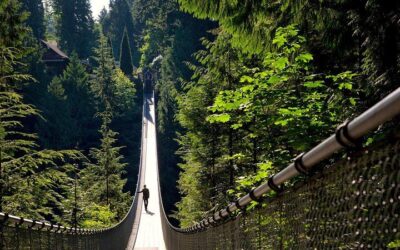 Vancouver City Sightseeing Tour: Capilano Suspension Bridge (2026 Review & Booking Guide)