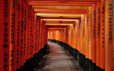 Kyoto Early Morning Tour with English Speaking Guide (2026 Review & Booking Guide)