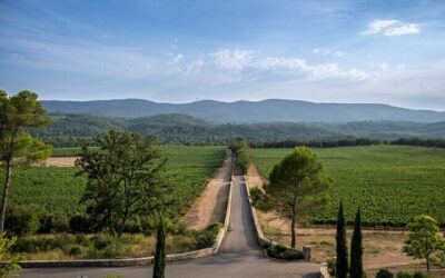 Monaco, Monte-Carlo and Eze Village Small Group Half-Day Tour (2026 Review & Booking Guide)