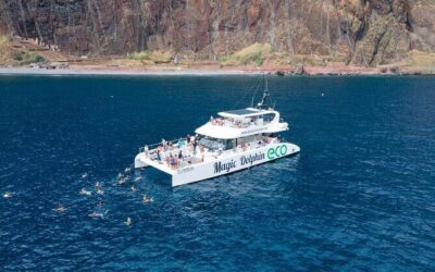 Best Tours & Experiences in Funchal, Madeira