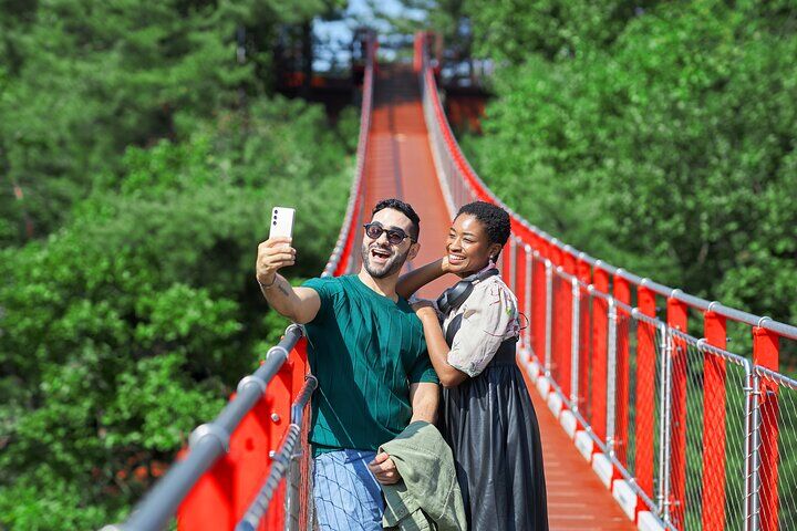 Best DMZ Tour Korea from Seoul in Seoul