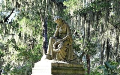 Savannah airport to Savannah City Center: Transfer Options (2026)