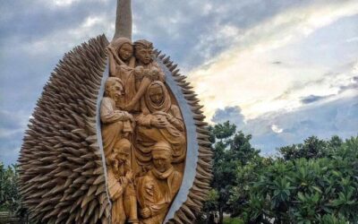 Best Tours & Experiences in Davao, Philippines