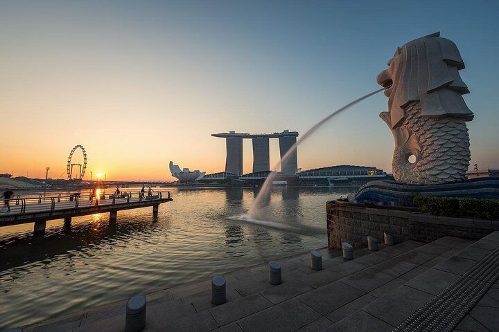 Private vs Small Group Tours in Singapore: Which Should You Book? (2026) 15 6 Hours - Singapore Tour in Private Car or Minibus with Driver
