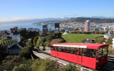 Best Tours & Experiences in Wellington