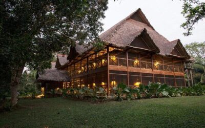 Best Tours & Experiences in Puerto Maldonado, Peru