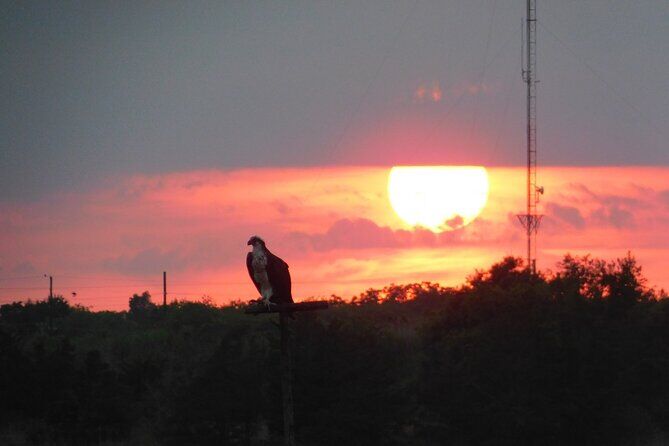 Mejores tours y experiencias en Cape May New Jersey 20 Sunset Safari - Cape May New Jersey