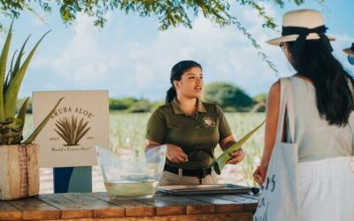Half-Day Aruba Island Tour from Oranjestad (2026 Review & Booking Guide)