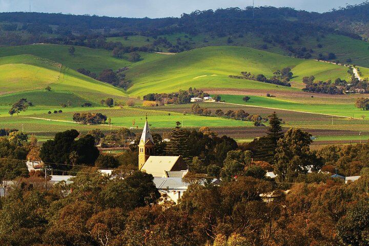 Discover Barossa: 4 Wine Tastings, Gourmet Lunch, and Hidden Gems (2026 Review & Booking Guide) 1 Discover Barossa: 4 Wine Tastings, Gourmet Lunch, and Hidden Gems in Adelaide