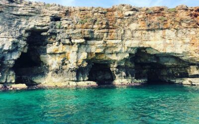 Best Day Trips from Bari (2026)