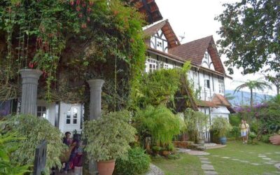 Best Tours & Experiences in Cameron Highlands