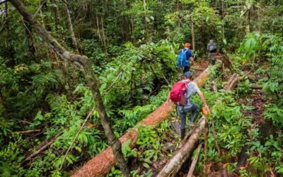 Best Tours & Experiences in Leticia, Colombia
