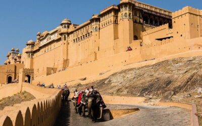 Amber Fort Tickets & How to Visit (2026 Guide)