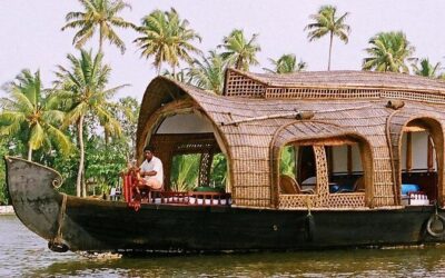 Best Tours & Experiences in Munnar