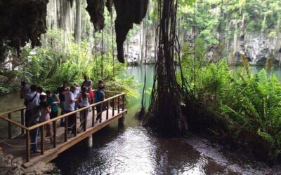 Best Tours & Experiences in Santo Domingo