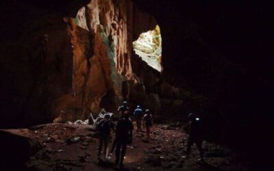 Best Tours & Experiences in Coral Coast
