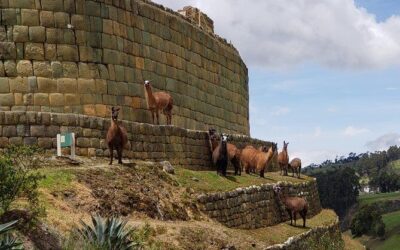 Best Tours & Experiences in Cuenca