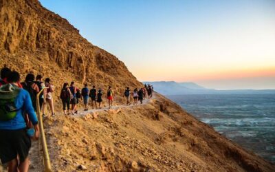 Best Tours & Experiences in Masada