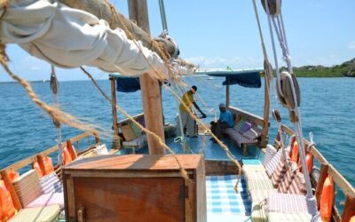 Best Tours & Experiences in Diani Beach