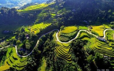 Best Tours & Experiences in Ha Giang